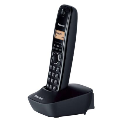 Panasonic-TG1611