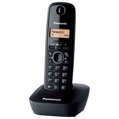 Panasonic-TG1611